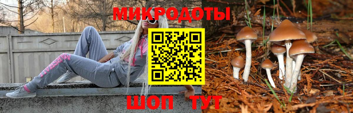 Шадринск  наркошоп  Вход с VPN  Псилоцибиновые грибы прущие грибы 